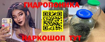 PSILOCYBIN Кимры