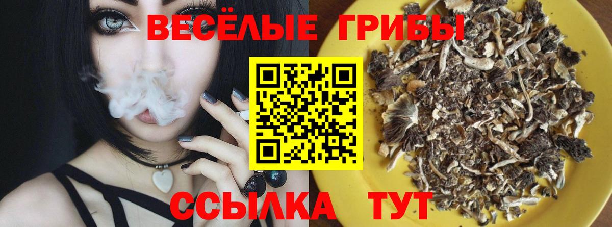 Галлюциногенные грибы Psilocybe  Вход с VPN  Галлюциногенные грибы GOLDEN TEACHER  Сызрань 